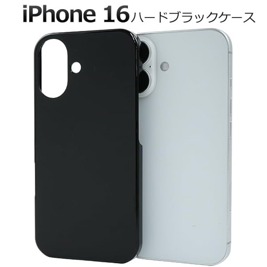 ✨️美品✨️ ラックケース ブラック ハードケース ブラック黒 シルバー ソニック IDハードケース＆ストラップ ヨコ型 ブラック AL-842-D