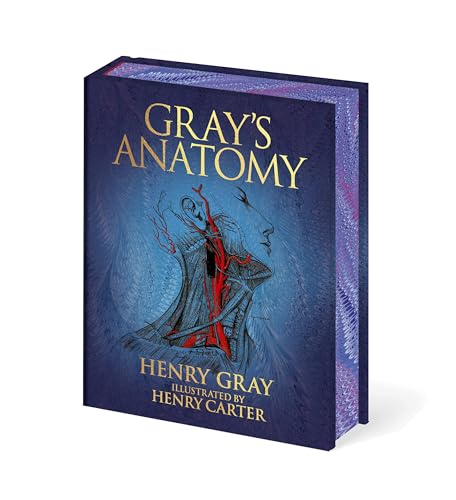  Gray\'s Anatomy