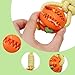 Mini Pig Supplies, 3 Pack Treat Dispenser Ball Toys for Pigs, Plastic Food Foraging Ball with Rope for Pigs, Pig Toys for Pet Pig