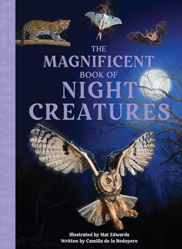 The Magnificent Book of Night Creatures