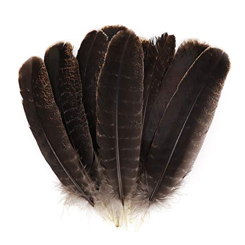MWOOT 10pcs Turkey Feathers, Natural Purification Energy Feathers for DIY Jewelry Crafts Home Wedding Party Decoration (20-30cm) - Image 3