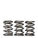 Skunk2 (311-05-1360) Alpha Series Valve Spring Set