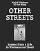 Other Streets: Scenes from a Life in Vietnam not Lived
