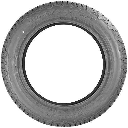 The 30 Best Light Truck & SUV AllTerrain & MudTerrain Tires of 2024