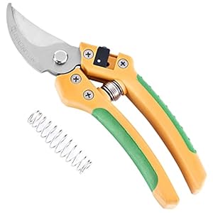 GRÜNTEK Snoeischaar ALBATROSS met EXTRA veer, RVS Ergo Bypass Plant Shears snoeischaar Ø tot 18 mm. Tuinschaar voor brede handen