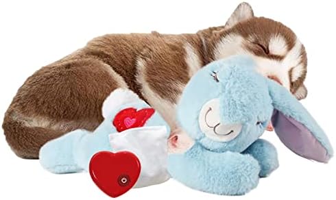 ALL FOR PAWS Puppy Behavioral Aid Heartbeat Comfort Bunny Toy, Dog Crate Snuggle Anxiety Relief Sleep Aid Plush Toys with Warmer Bags (Heart Beat Warm Bunny)