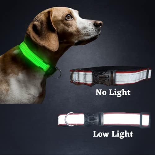 Buy Reflective Collar for Street Dogs Dog Reflective Belt (Multicolor) Set of Four Belts
