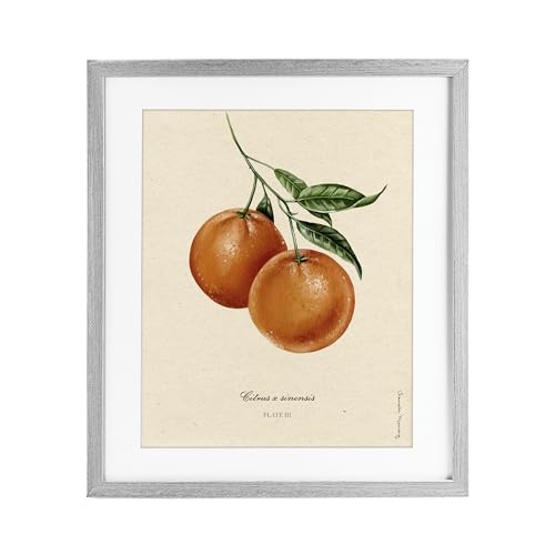 'Orange Fruit Portrait'| Framed Print Under Glass