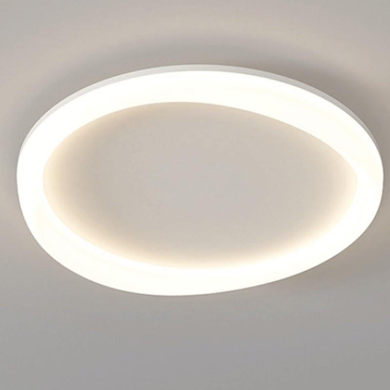 Modern Simplicity Modern Simple LED Acrylic Iron Ceiling Lamps Nordic White Creative Round Light Three-Color Dimmable Close to Lights for Guest Room Bedroom Private Entrance