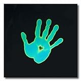 American Science & Surplus 6' x 6' Liquid Crystal Sheet.