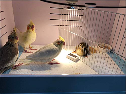Caja de cría de pollitos con bombilla, calienta hasta 35 pollitos, ideal para el cuidado de aves de corral, duradera y portátil