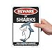 SmartSign Funny Beware Of Sharks Warning Sign - 10
