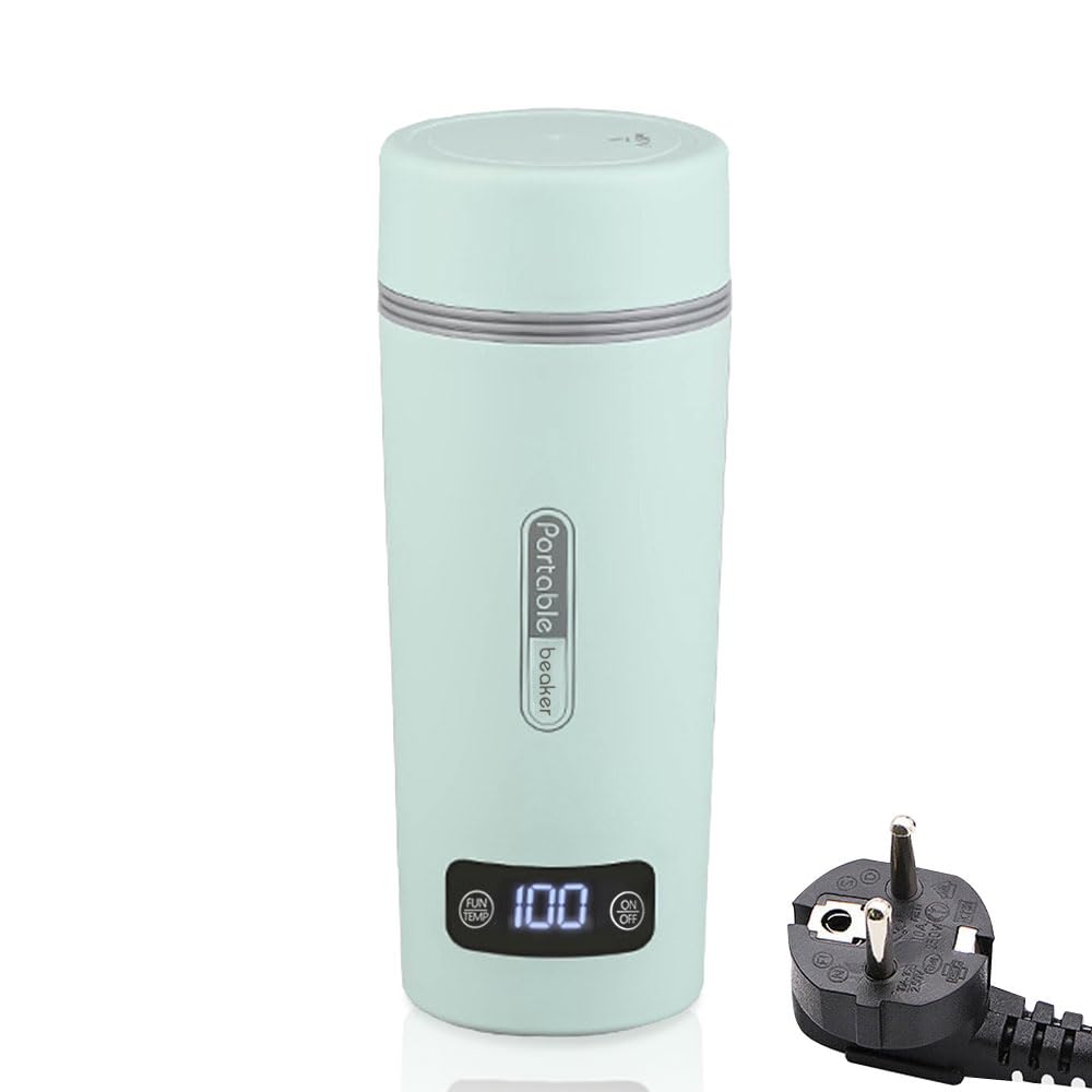 Bouilloire Électrique en Acier Inoxydable Portable, Eau Bouillante Rapide, 4 Réglages de Température, Fonction de Maintien 8 Heures, Prise UE
