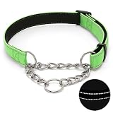 Martingale Dog Collar with Stainless Steel Chain, Adjustable Soft Padded Nylon Reflective Collar, No Pull Heavy Duty Chain Walking Training Colllars for Large, Medium, Small Dogs(Green, 12.6" - 19.7") -  Love Dream