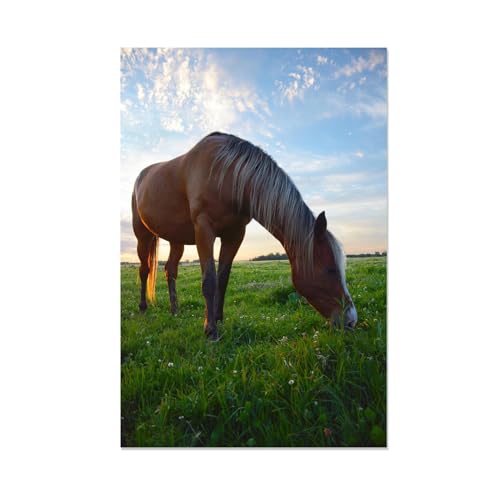 Tableau cheval prairie sauvage pour salon moderne 70x110cm déco nature