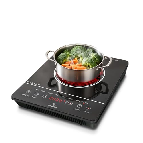NOXTON Plaque de cuisson vitrocéramique 1 plaque, Plaque céramique portable à zone unique, plaques de cuisson 2000 W avec prise tactile, température 650 ℃, Sécurité, minuterie 4 heures