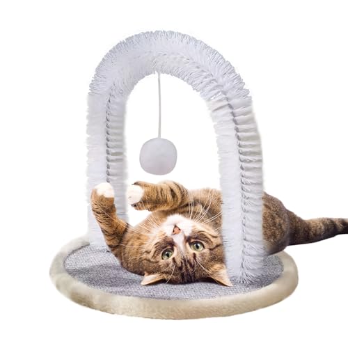 Brosse à griffer pour chat résistant aux morsures et fournitures chaton