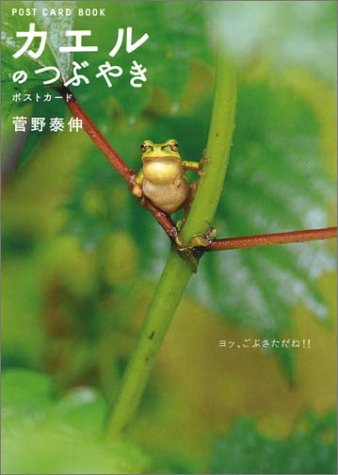 カエルのつぶやき―ポストカード (新風舎文庫―Post card book)