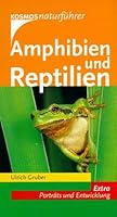Amphibien und Reptilien. Extra: Porträts und Entwicklung. 3440092127 Book Cover