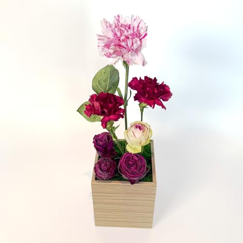 [Lotus Garden] [母の日2026] フリーズドライフラワー 「ゼロフラワーのカーネーションアレンジ」