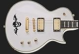 GuitarCustom