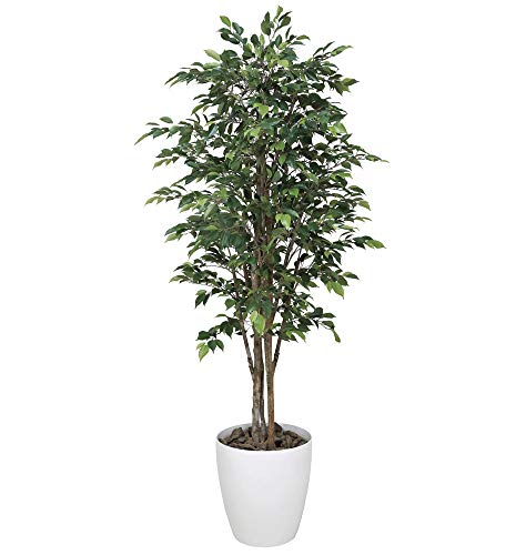 光触媒 人工観葉植物 光の楽園 ロイヤルベンジャミン1.6m 150G520