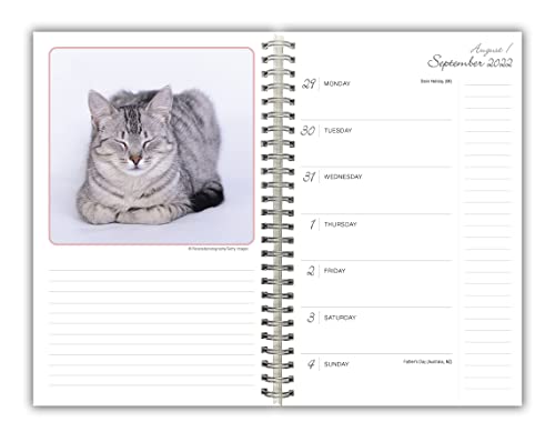 Cat Naps 2023 Weekly & Monthly Planner, 16-Month Engagement Calendar: September 2022 - December 2023, 6" X 9" #TOP1