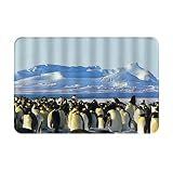 Tapis de Bain,Mignon Antarctique Oiseaux Qui Ne Volent Pas Sur Glacier Pingouin Dans Antidérapant Absorbant Tapis Salle Bain,Lavable en Machine Tapis de Douche Moelleux,Baignoire,Salon,Chambre 40*60cm