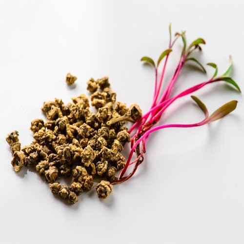 Hybrid F1 Beetroot Seeds (250 Seeds) Winter Vegetables Seeds, Beetroot Seeds For home garden (B0CFBG2GBJ) Amazon Price History, Amazon Price Tracker