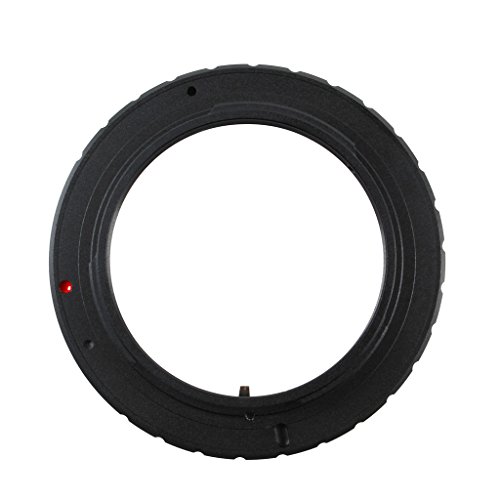 perfk O4/3YA_v^[E-520 50 0 E-3Jւ̃}EgOMp