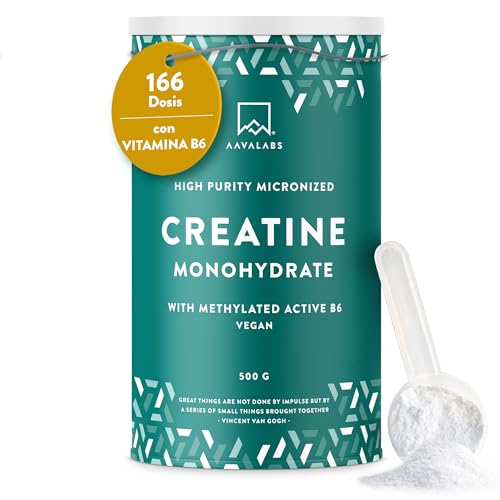 Creatina Monohidratada Micronizada en Polvo 500g -166 Porciones - Creatina Monohidrato Pre Entreno y Posentrenamiento- Creatine Monohydrate con Vitamina B6 - Sin Sabor