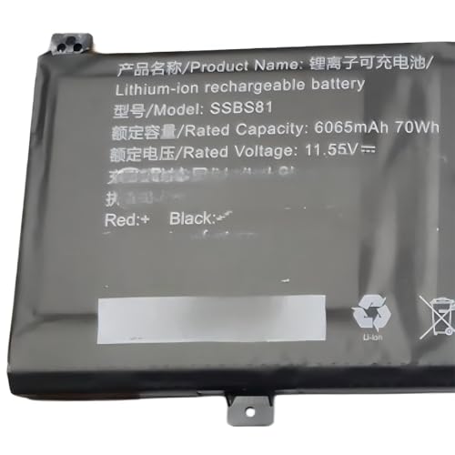 Batterie SSBS81 pour 16HDS-7BB6U 16HD-5BB6U Code01 Code10-7CC6U