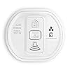 Ei Electronics Professional Ei208iW koolmonoxidemelder, i-serie CO-melder met audioLINK-functie en batterij voor 10 jaar…
