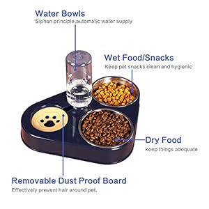 AUVSTAR Ciotola Rialzata per Gatti 3 in 1 con Doppia Ciotola in Acciaio Inossidabile, Alimentatore con Distributore Automatico d'Acqua per Cibo Secco e Umido (Blu)
 - immagine 2