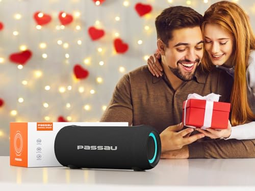 Passau Portable Bluetooth Speakers S223B の商品画像 8