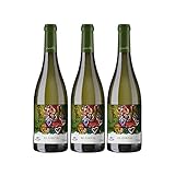 vino blanco afrutado dulce mercadona El Zarzal se elabora con una fantástica fermentación Godello a temperatura controlada con posterior crianza sobre lías en fudres de madera francesa de 2.500 L durante aproximadamente 8 meses. El blanco ideal para acompañar con todo tipo de pescados, carnes blancas guisadas y quesos cremosos de cabra u oveja