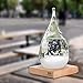 GR Creative Stylish Desktop Drops Storm Glass of 17th Century Europe Weather Monitors Weather Forecast Weather Station (large)