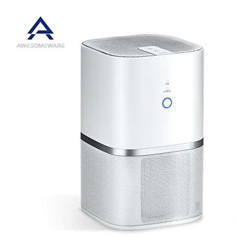 AwesomeWare Air Purifier True HEPA Filter, Odor Allergies Eliminator Smokers, Smoke, Pets, Mold, Germs, Dust, US-110V, Air Cleaner with Ionizer up to 150sq.ft