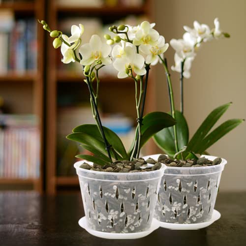 Lanccona Orchid Pot, 8 Inch 4 Pack Orchid Pots With Holes And Saucers, Clear Plastic Orchid Pots #TOP6
