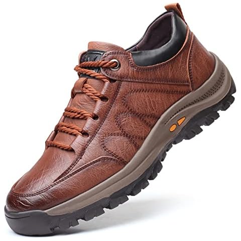 Mens Shoes Spring and Autumn Mens Casual Shoes Single Cotton with The Same Trend Mens Sports Shoes (Brown,9) Cover