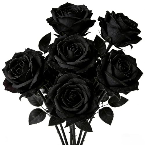 YGHSZ 6 Pcs Black Artificial Silk Roses 50 cm Halloween Gothic Long Stem Fake Flowers for Wedding Bouquet Bridal Centrepiece Grave Decoration & Party Table Decor