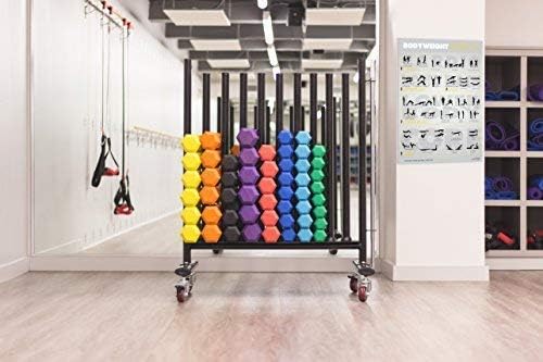 Large Fitness Posters & Exercise Charts (7 Pack) - Home Gym Accessories - Workout Planner