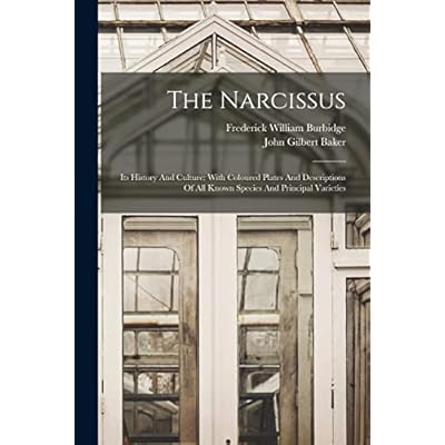 The Narcissus: Its History And Culture