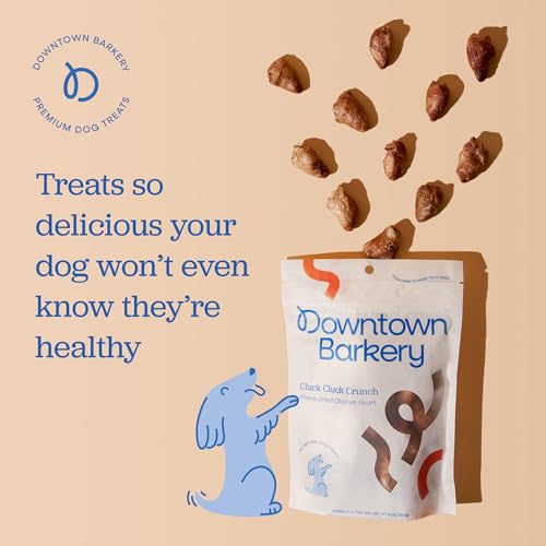 Downtown Barkery Freeze Dried Canine Treats – Single Ingredient, Low Calorie Canine Treats Wealthy in Nutritional vitamins and Minerals – All Pure Canine Treats – Freeze Dried Hen Hearts for Canine, 1 Oz Downtown Barkery Freeze Dried Canine Treats – Single Ingredient, Low Calorie Canine Treats Wealthy in Nutritional vitamins and Minerals – All Pure Canine Treats – Freeze Dried Hen Hearts for Canine, 1 Oz