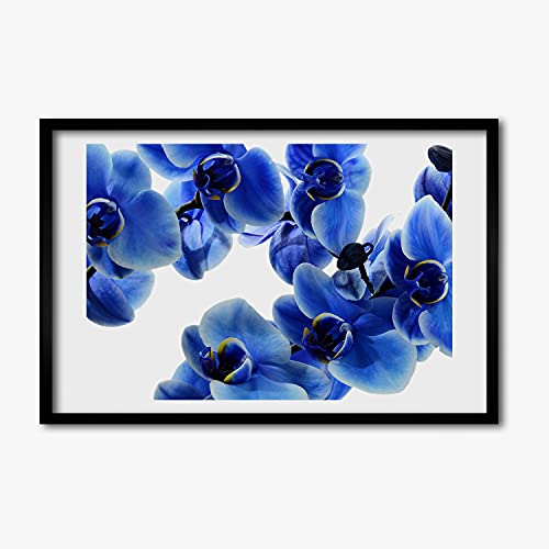 Affiche cadre en bois Tulup peinture orchidée bleue 60x40 cm