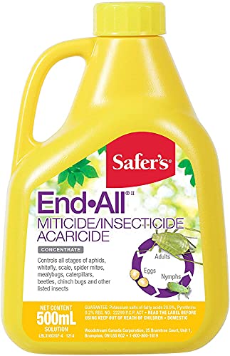 FunnyGo Magic Cube Fidget Toys, Rotating Magic Bean, Spinning Magic Bean Game, Unisex Magic Bean IQ Game Toys can Improve Children's Thinking Ability [Green]