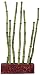 Marina Betta Kit Bamboo Shoots Ornament