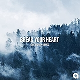 4. Break Your Heart