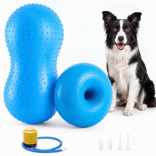Lewtemi Peanut Ball and Donut Balance Disc Set