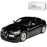 alfa romeo giulia limousine INKLUSIVE WUNSCHKENNZEICHEN: Das Fahrzeug wird mit IHREM individuellem Wunschkennzeichen geliefert! Die Kennzeichen sind selbstklebend - also einfach auf die gewünschte Größe ausschneiden und die Folie hinten abziehen. ___die Nachfrage des Kennzeichens erfolgt - AUTOMATISCH innerhalb 1 Werktag - bitte vorher KEINE Nachricht senden___